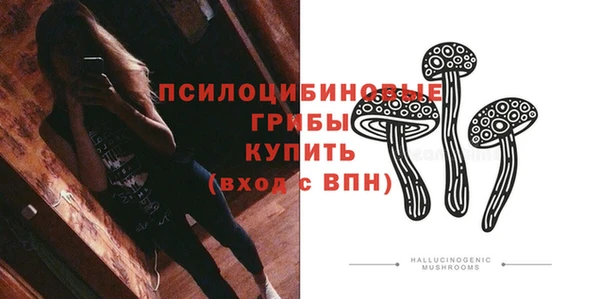 первитин Алексеевка