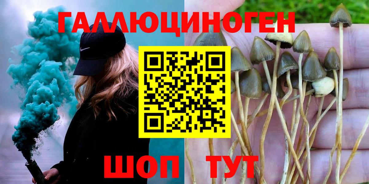 Галлюциногенные грибы Cubensis Еманжелинск
